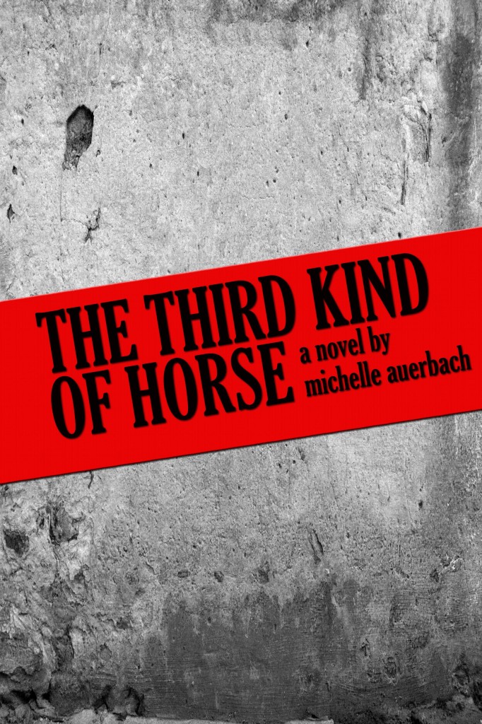 michelle auerbach novel the third kind of horse